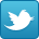 Twitter Icon