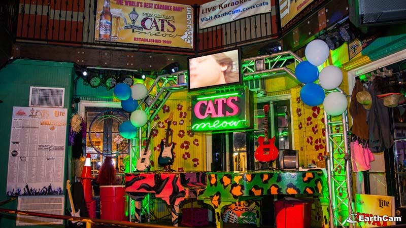 Cat's Meow - New Orleans, Louisiana