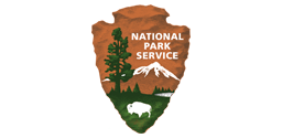 NPS